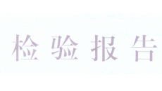 网络字符叠加器检测报告