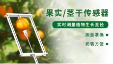 果实/茎干生长传感器