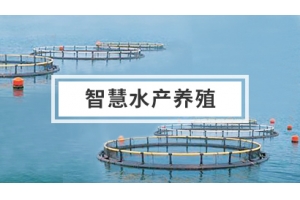智慧水产养殖解决方案