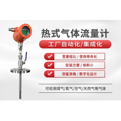 热式气体流量计