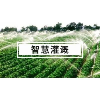 智慧灌溉解决方案 水肥一体化 自动灌溉系统
