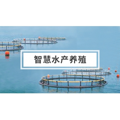 智慧水产养殖解决方案
